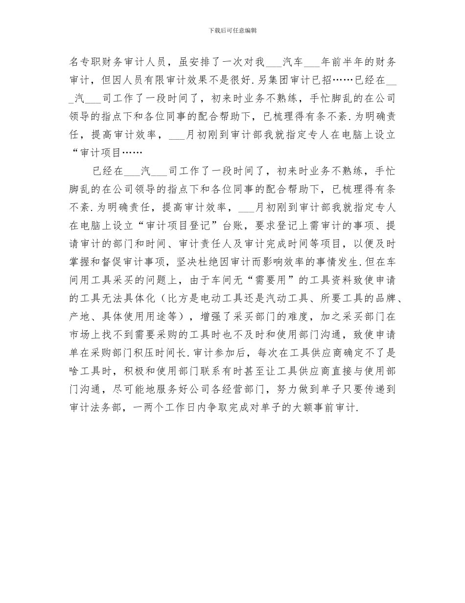 公司审计2024年终工作总结范文_第2页