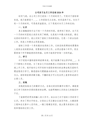 公司实习生月工作总结2024年