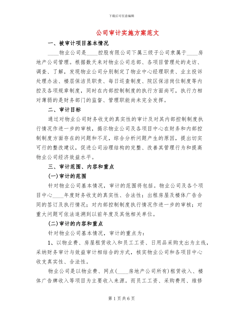 公司审计实施方案范文_第1页