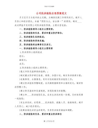 公司抗洪抢险应急预案范文