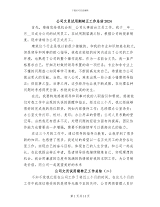 公司文员试用期转正工作总结2024