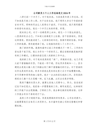 公司新员工个人工作总结范文2024年