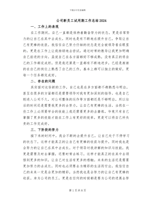 公司新员工试用期工作总结2024