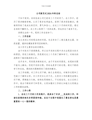 公司新员式2024年终总结