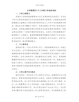 公司普通员工个人年度工作总结2024