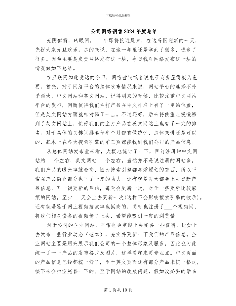公司网络销售2024年度总结_第1页