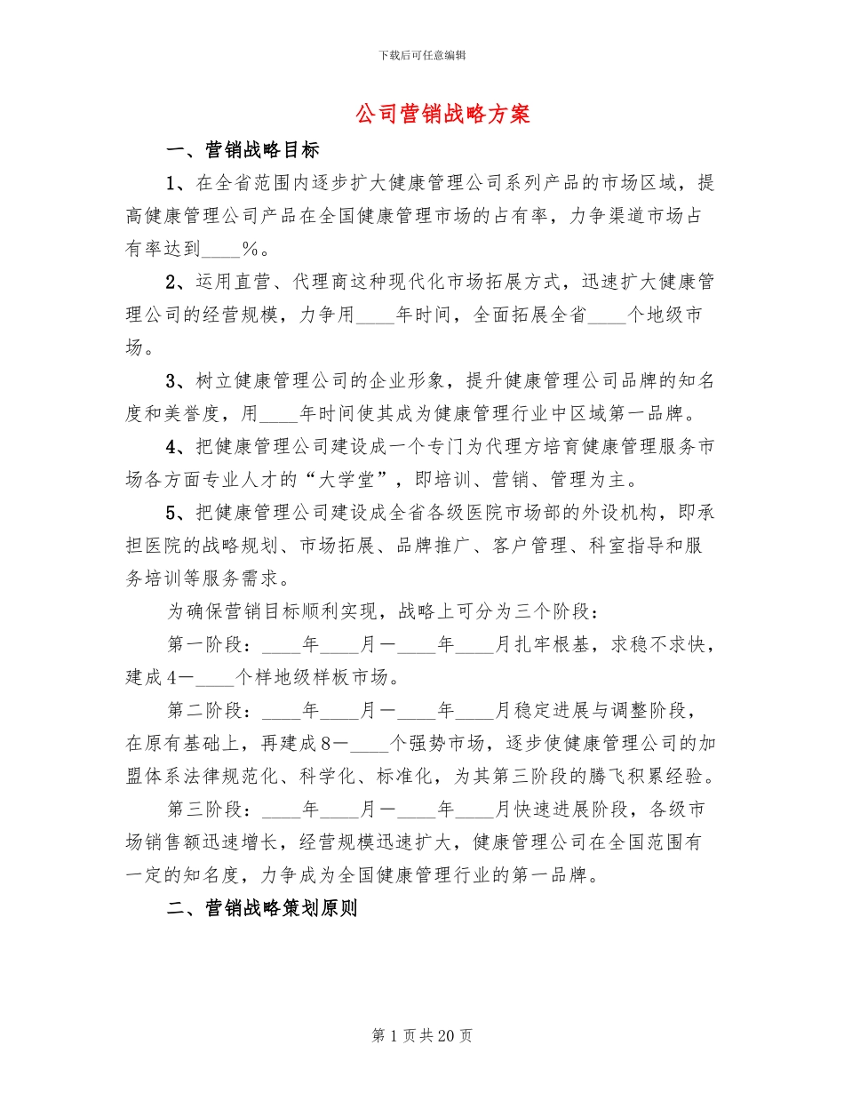 公司营销战略方案_第1页