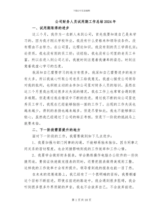 公司财务人员试用期工作总结2024年