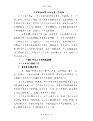 公司财务审计2024年度工作总结