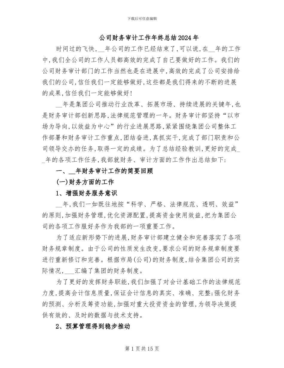 公司财务审计工作年终总结2024年_第1页