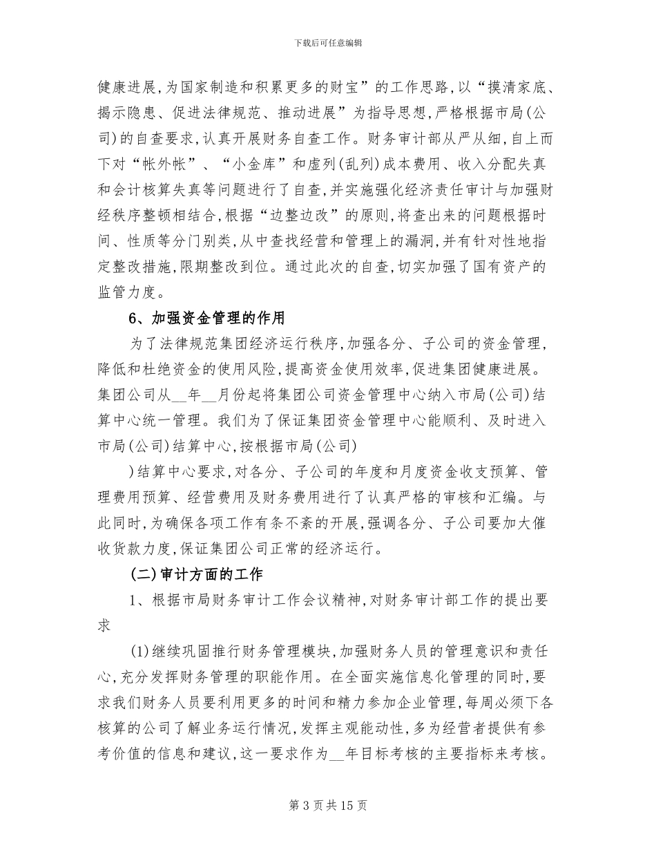 公司财务审计工作年终总结2024年_第3页