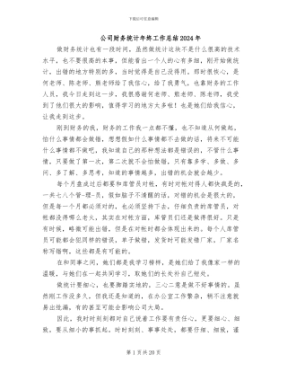 公司财务统计年终工作总结2024年