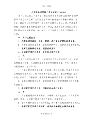 公司财务试用期工作总结范文2024年
