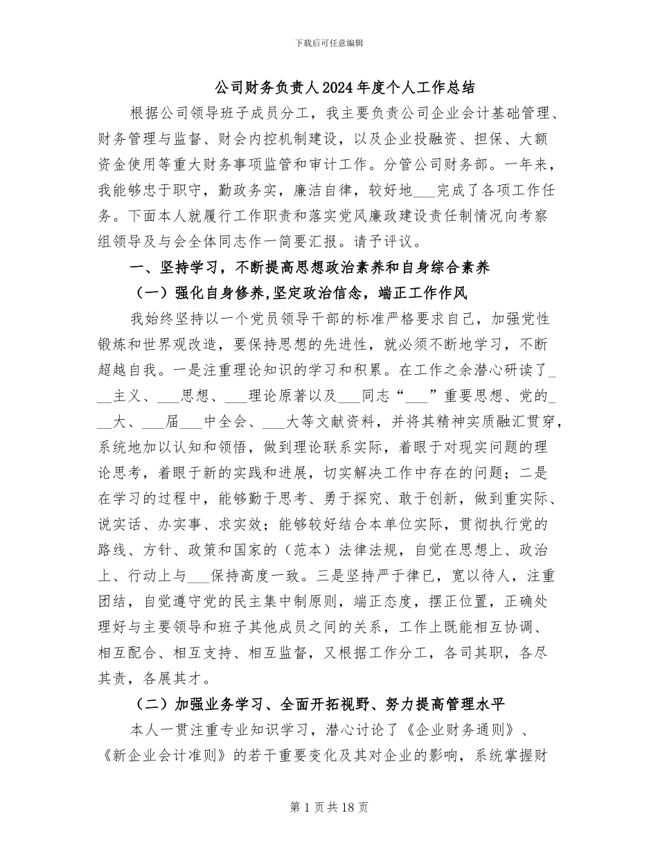 公司财务负责人2024年度个人工作总结_第1页
