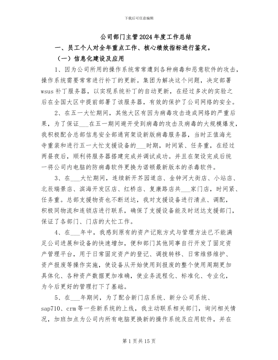 公司部门主管2024年度工作总结_第1页