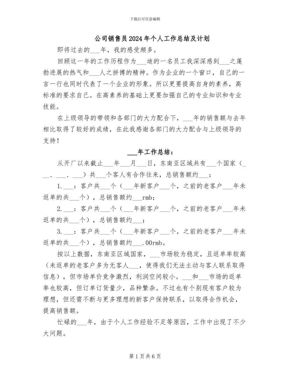 公司销售员2024年个人工作总结及计划_第1页
