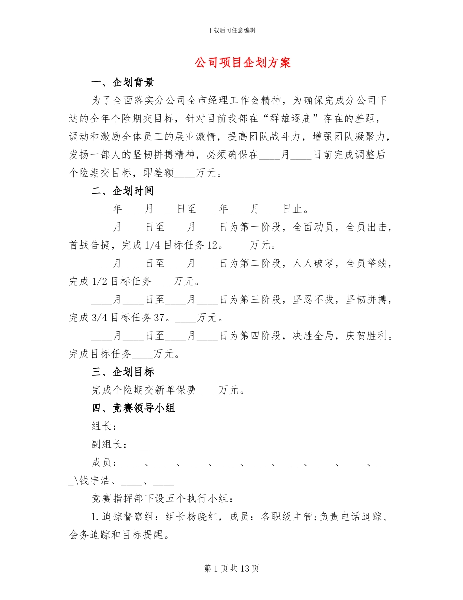 公司项目企划方案_第1页
