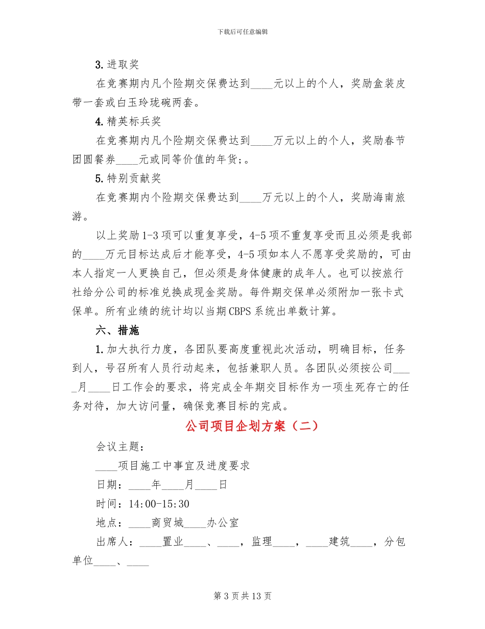 公司项目企划方案_第3页