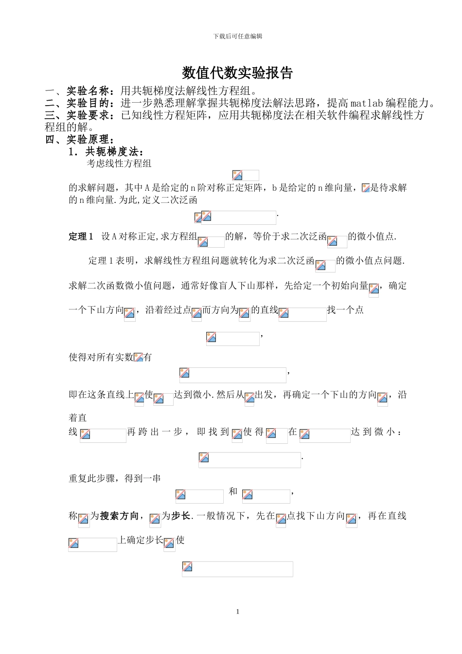 共轭梯度法实验报告_第1页