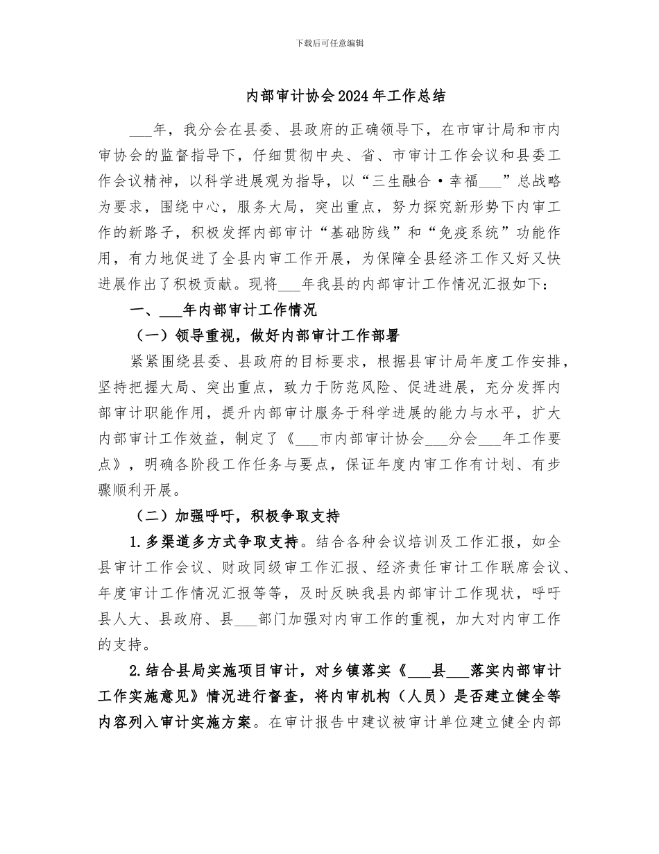 内部审计协会2024年工作总结_第1页