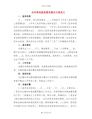 农村耕地抛荒撂荒整治方案范文