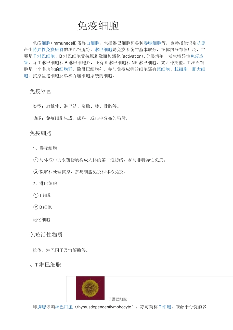 免疫细胞概述_第1页