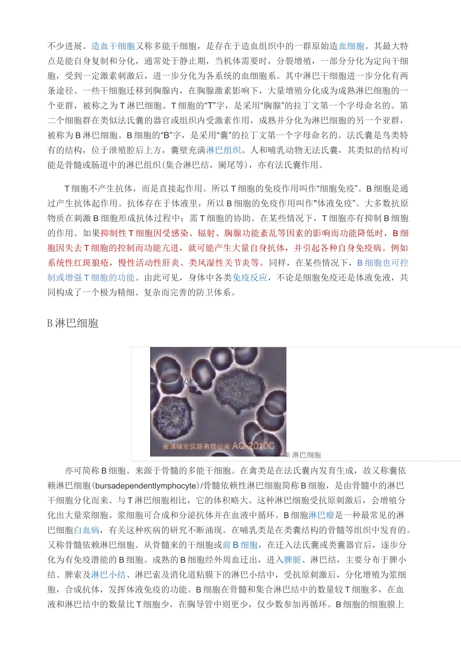 免疫细胞概述_第3页