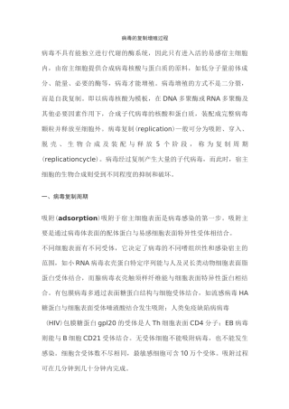 病毒的复制增殖过程