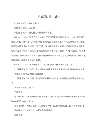 新能源创业计划书