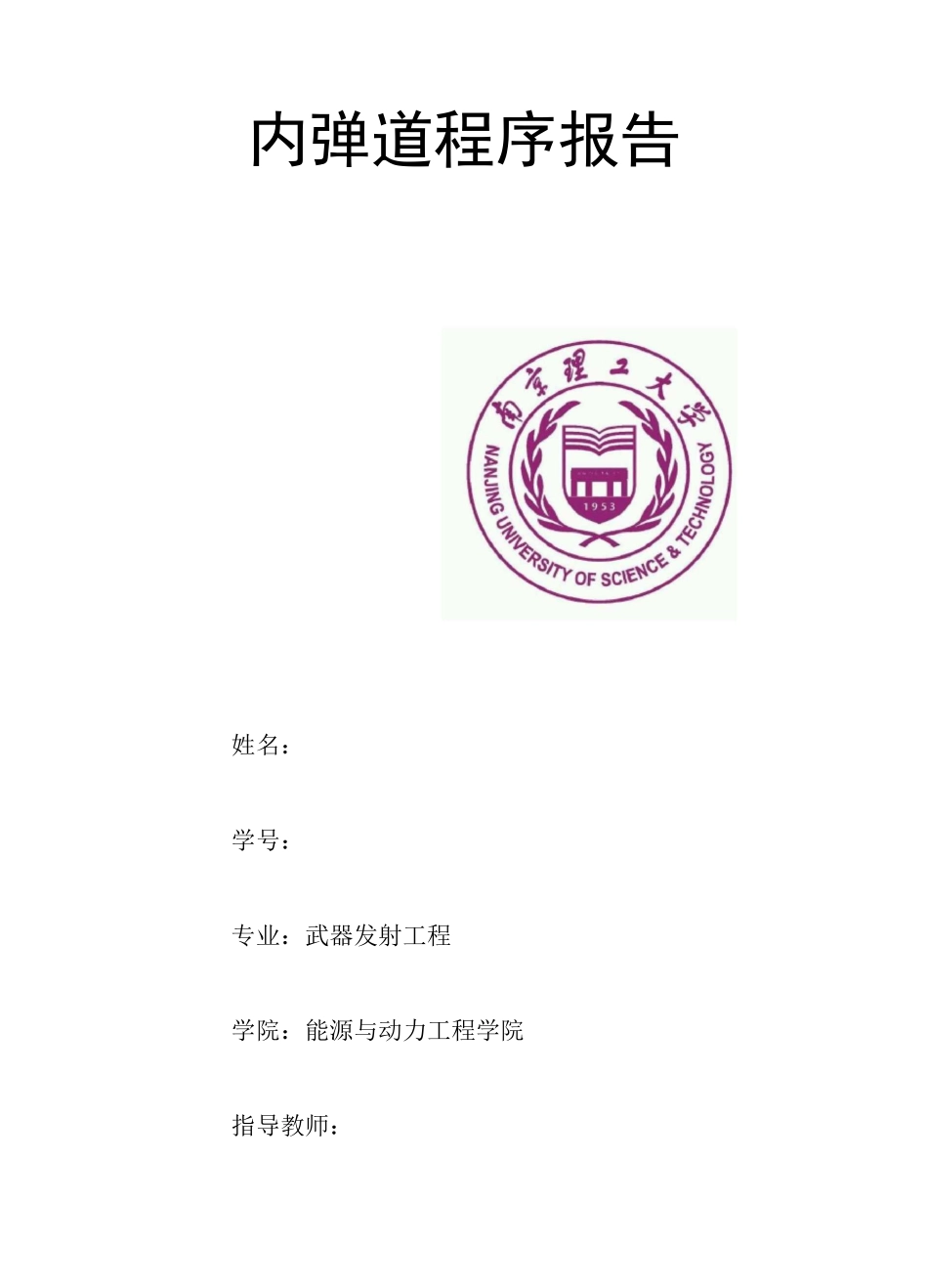 内弹道程序报告_第1页