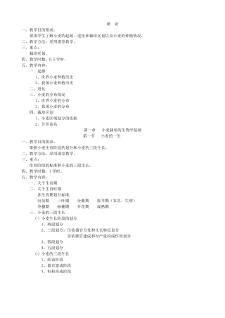 小麦栽培教案农学