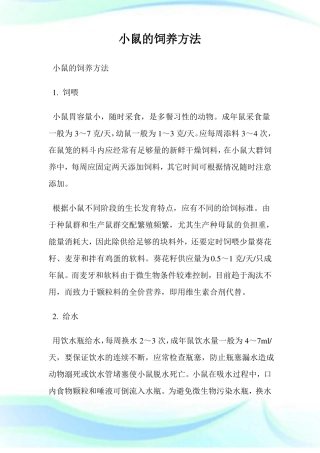 小鼠的饲养方法