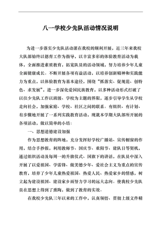 少先队工作情况说明