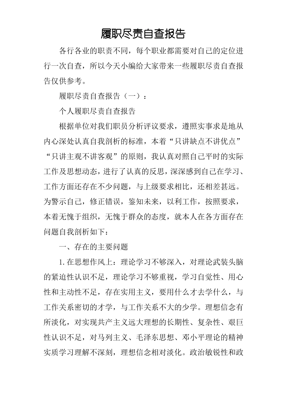 履职尽责自查报告_第1页