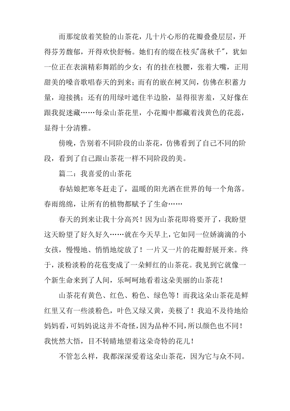 山茶花作文6篇_第2页