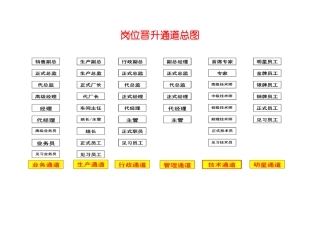 岗位晋升通道总图