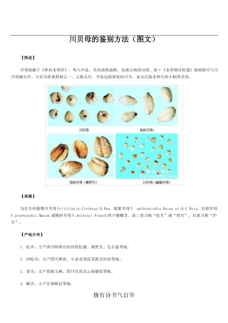 川贝母的鉴别方法图文