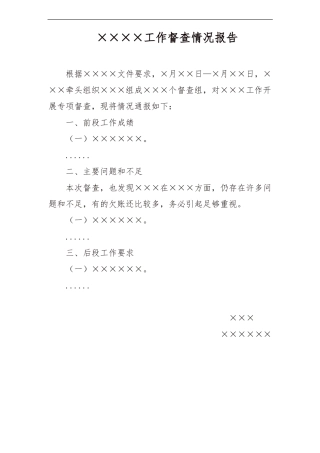 工作督查情况报告