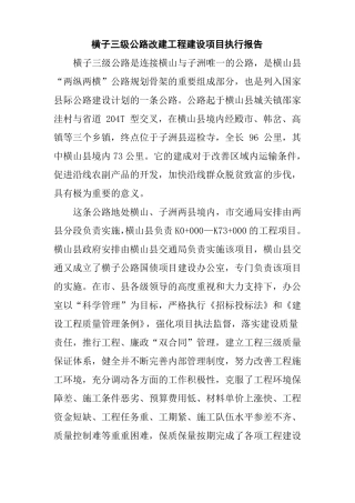 工程建设项目执行报告