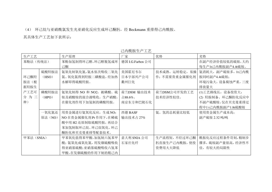 己内酰胺生产工艺比较_第2页