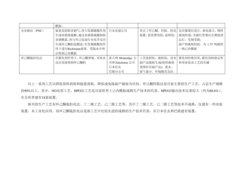 己内酰胺生产工艺比较_第3页