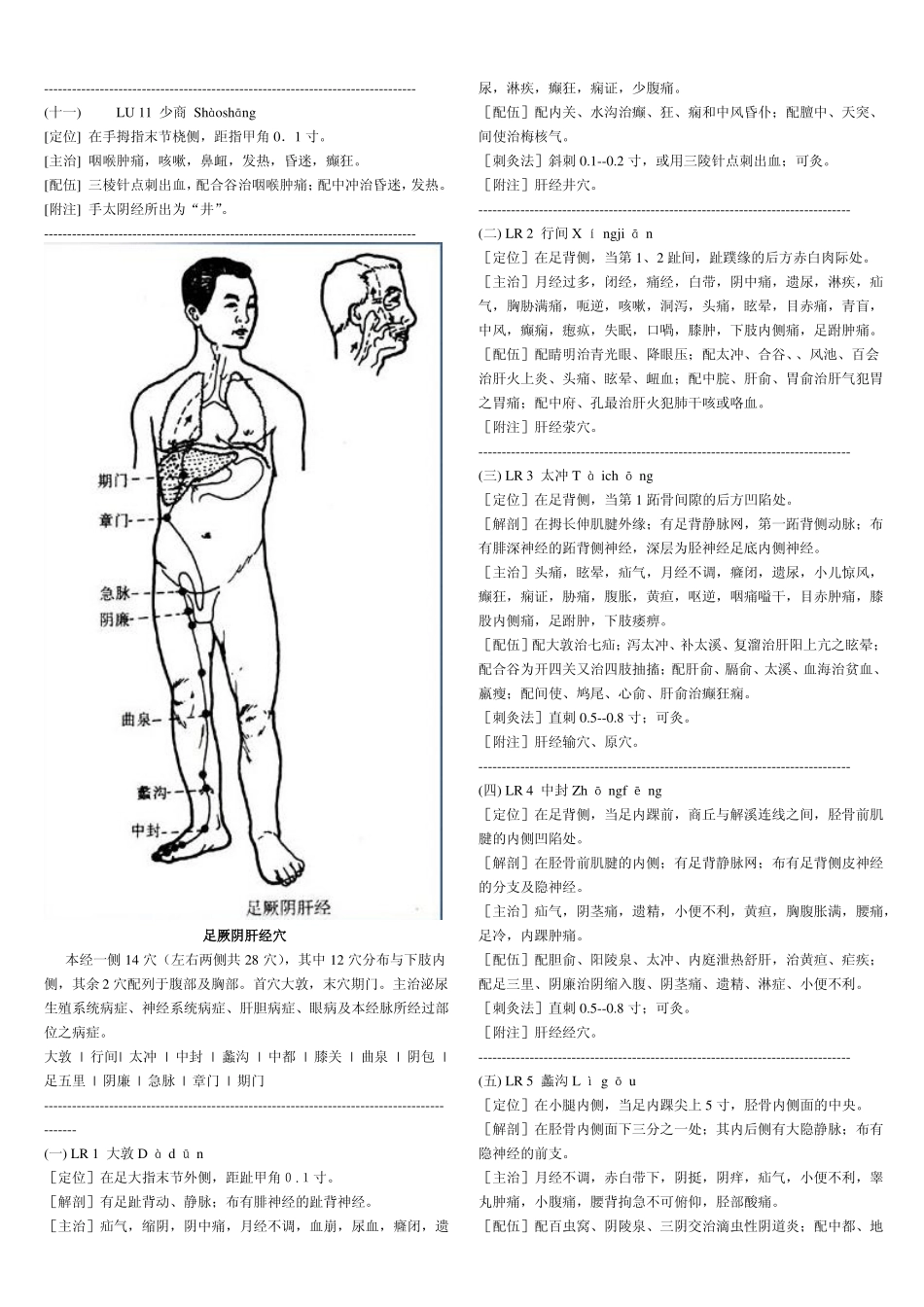 常用中医穴位图解_第2页