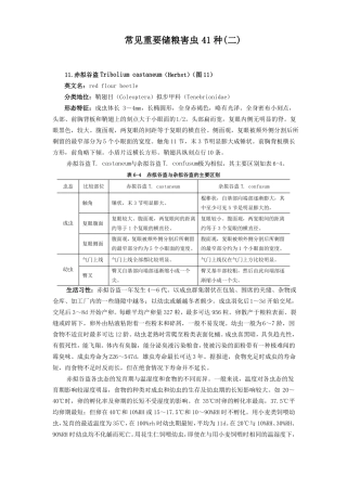 常见重要储粮害虫41种二