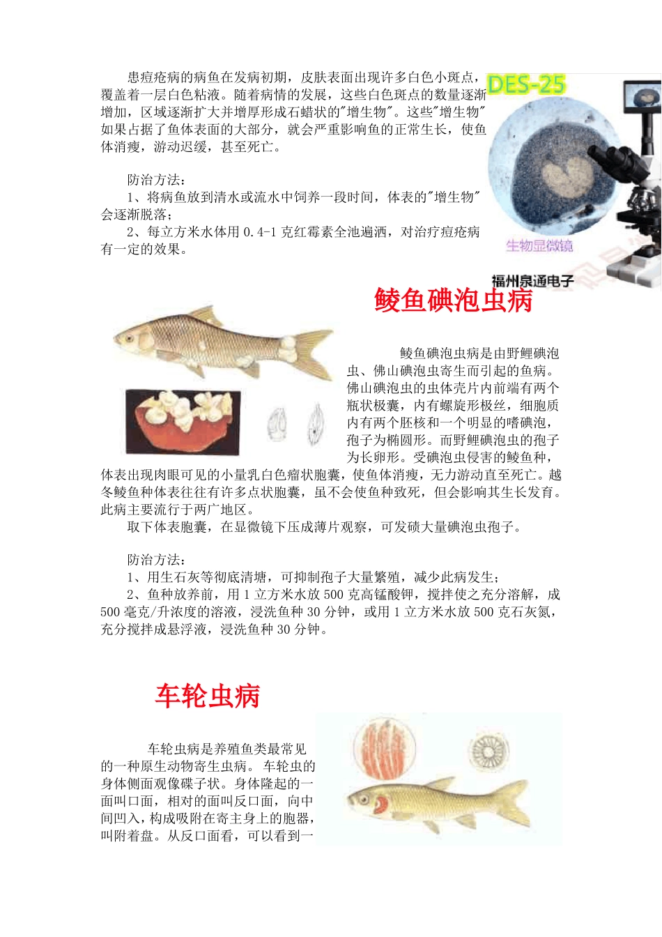常见鱼病图片及防治方法_第2页
