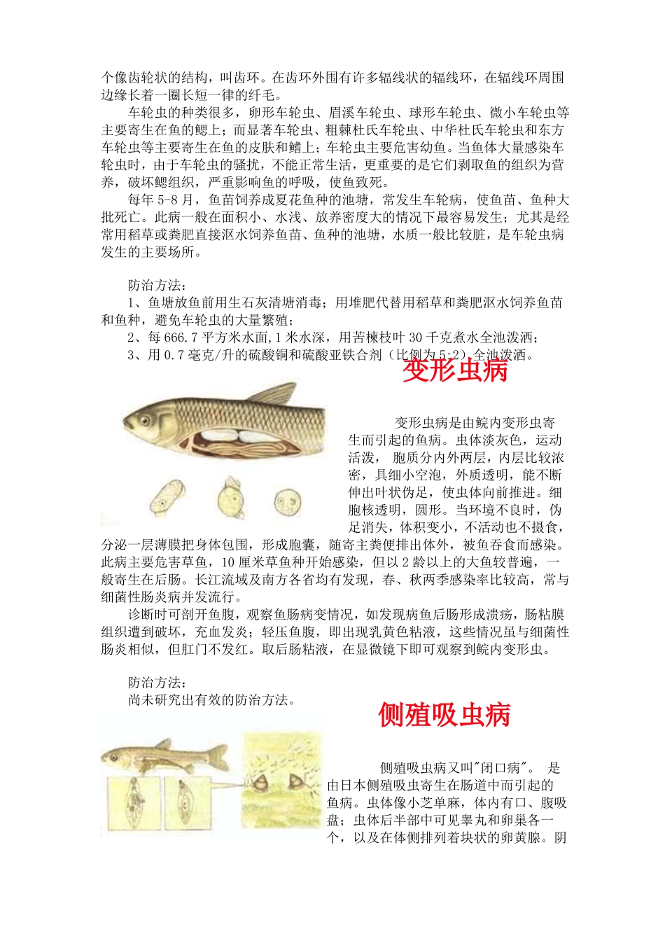 常见鱼病图片及防治方法_第3页
