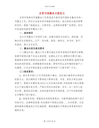 农贸市场整改方案范文