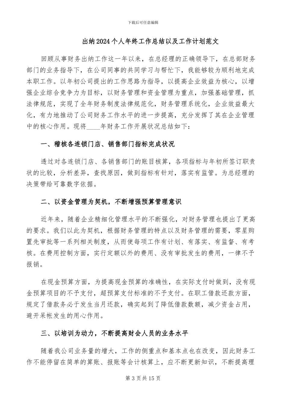 出纳2024个人年度工作总结_第3页
