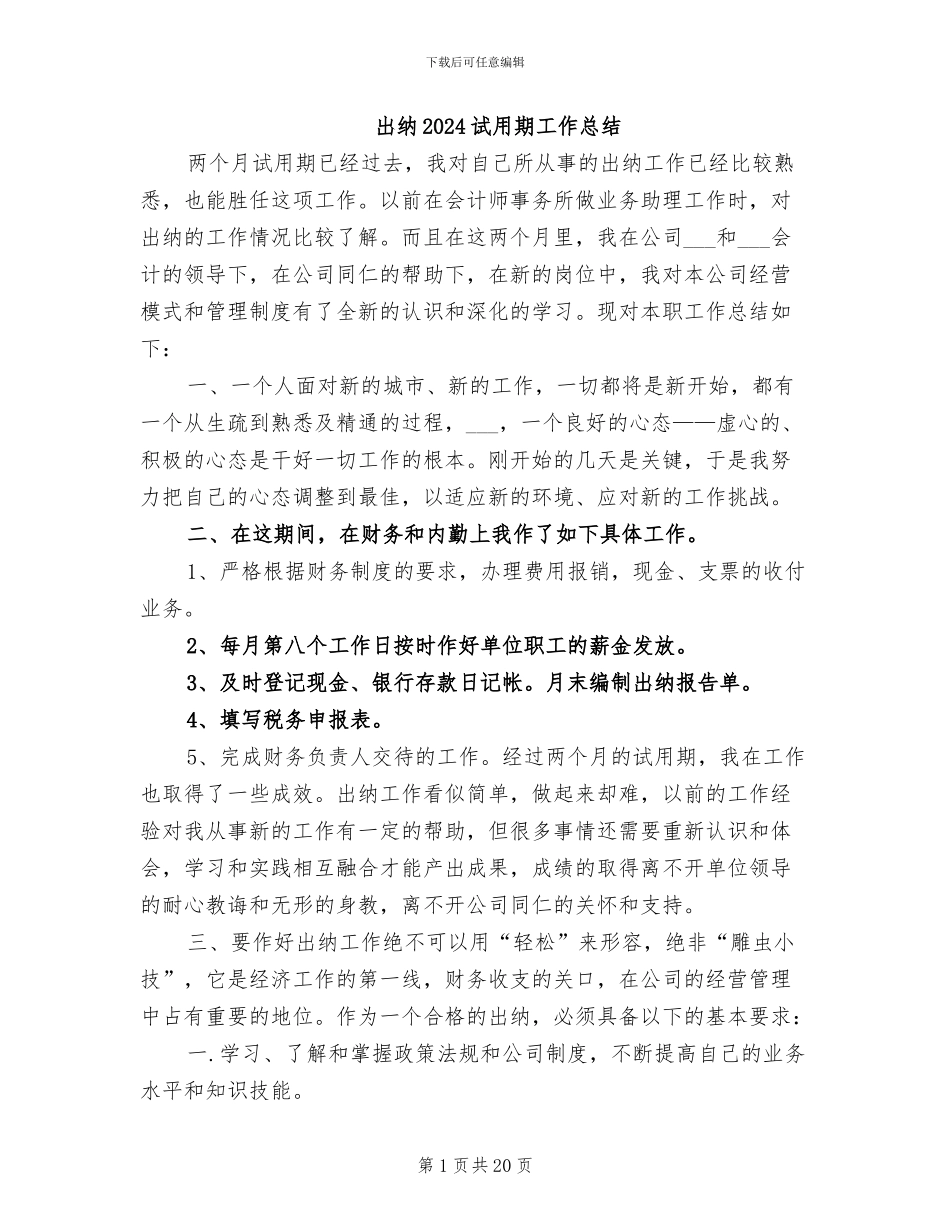出纳2024试用期工作总结_第1页