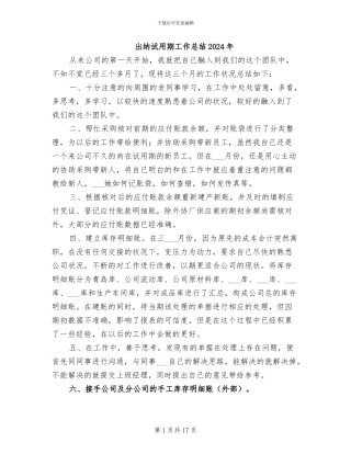 出纳试用期工作总结2024年