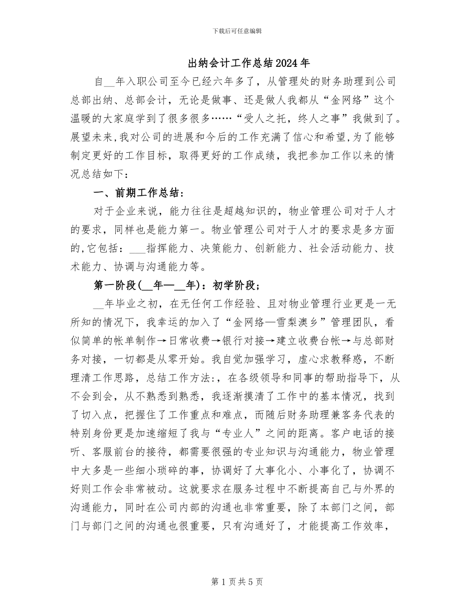 出纳会计工作总结2024年_第1页